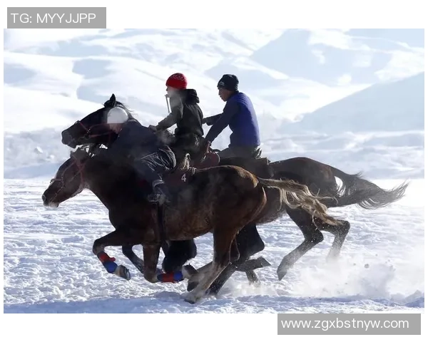 探索阿拉巴的历史文化与自然风光之美，感受独特的地方魅力与人文气息