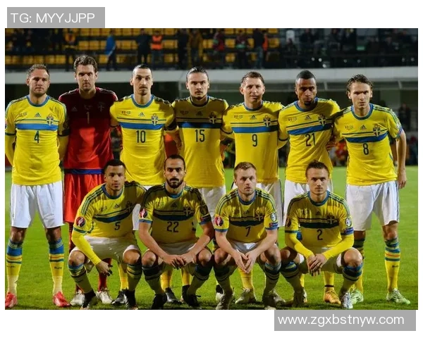 爱尔兰与瑞典足球比赛精彩对决比分结果分析与回顾