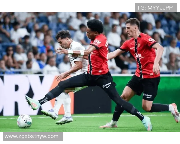 皇马与塞尔塔对决比分预测及精彩分析分享 皇马与塞尔塔对决比分预测及精彩分析分享