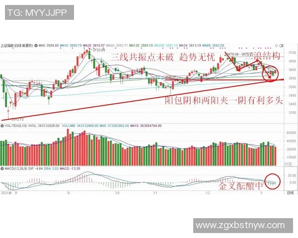 俞长栋：从学术先锋到行业领军人物的成长之路与影响力探析