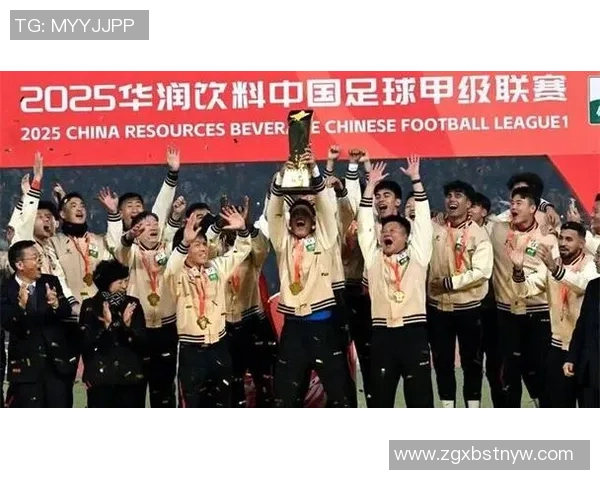 中甲联赛精彩对决辽宁队迎战石家庄队全力争胜