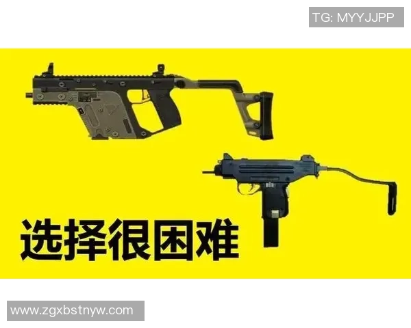 和平精英装备选购指南：最佳显示器推荐助你提升游戏体验