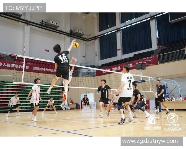 成都排球队比赛经验的创新与变革引发热议